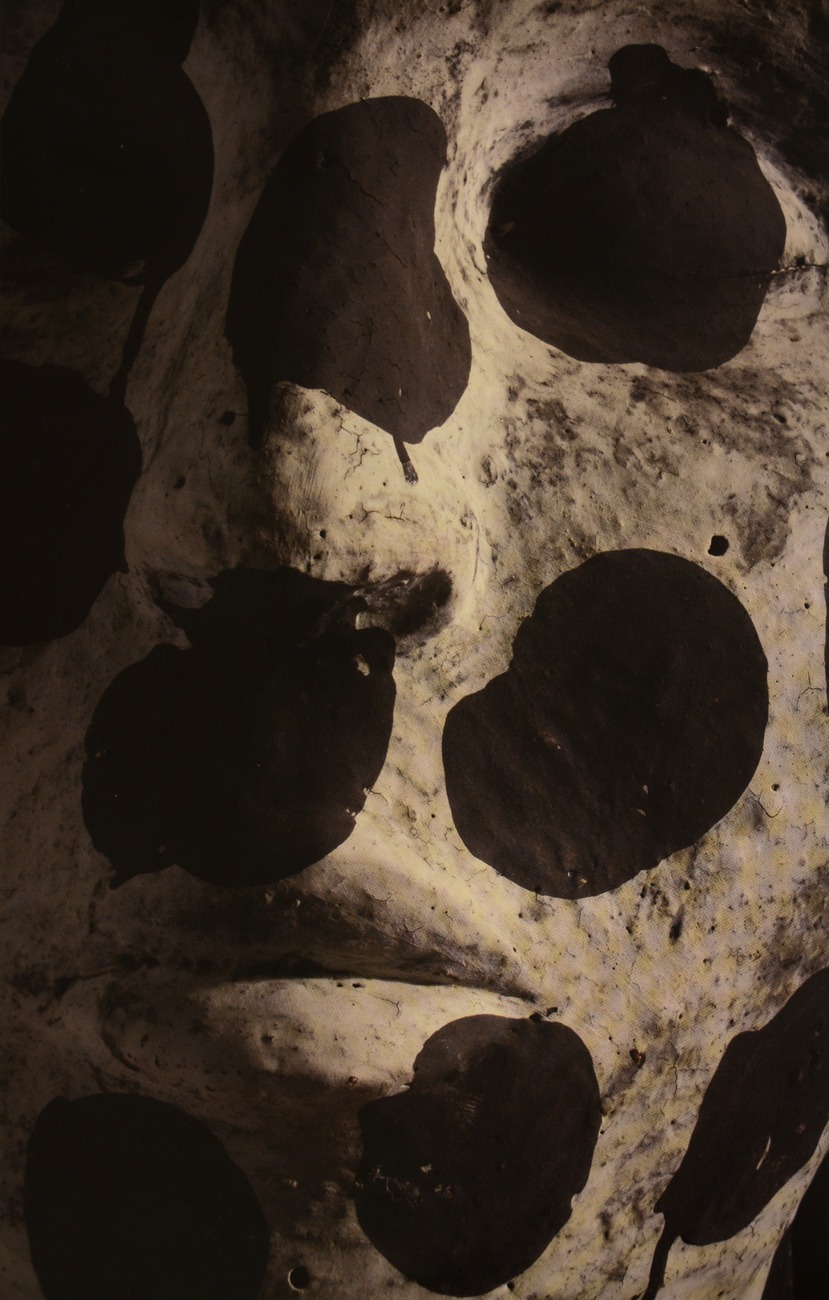 Daphné Corregan - Painted Face detail